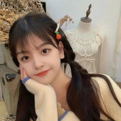 我的天才女友 第三季